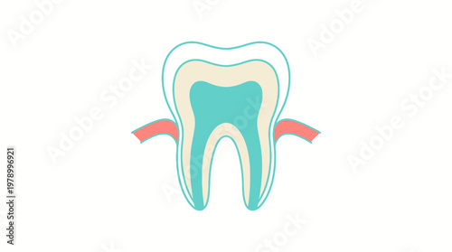 Detailed anatomical cross-section of a human tooth showing enamel, dentin, and pulp layers with surrounding gum tissue.