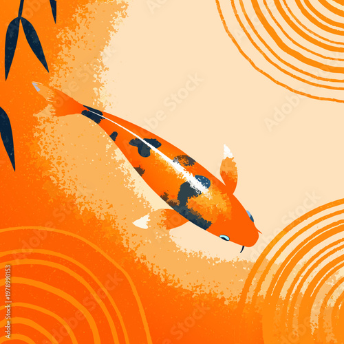 koi fish 