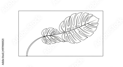 Monstera Leaf Outline Drawing, Tropical Plant, Elegant Botanical Illustration