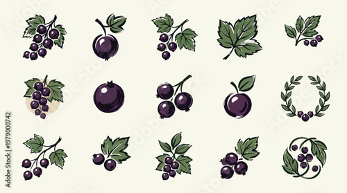A collection of stylized illustrations of blackcurrants and related elements, including leaves and a laurel wreath.