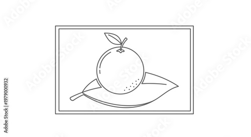 Minimalist Line Art Orange on Leaf, Fresh Fruit Icon, Healthy Food Graphic