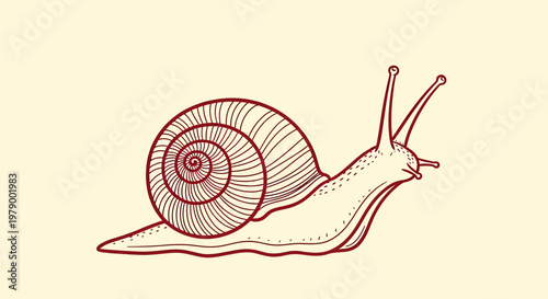 A detailed outline sketch vector illustration of a snail moving slowly across a leafy surface in a garden environment.