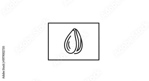Almond seed icon, simple line drawing, isolated on white background, food ingredient symbol