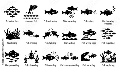 This icon set features diverse fish behaviors such as swimming, eating, hiding, and spawning, ideal for marine biology education and aquatic themed graphic projects.