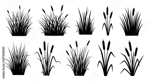Silhouettes of various wetland plants like cattails and reeds, ideal for naturethemed graphic projects, logos, and landscape illustrations requiring simple organic shapes.