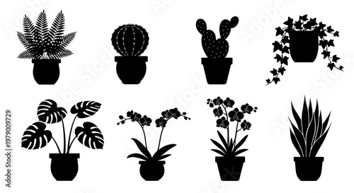 Diverse collection of potted houseplant silhouettes, including fern, cactus, monstera, orchid, and snake plant, ideal for various graphic resources.