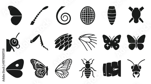 Vector insect icons featuring various butterfly wings, antennae, legs, bodies, and insect heads, perfect for biology educational resources and scientific projects.