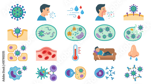 Flat Vector Icons Illustrating Virus Infection and Immune Response