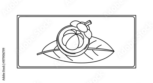 Mangosteen Fruit Slice on Leaf Outline Icon