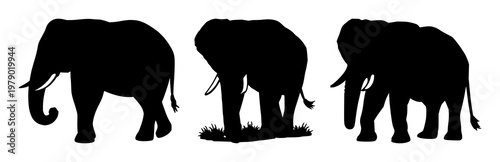 Elephant icon set with black silhouette on white backdrop featuring wildlife conservation, endangered species, iconography with high contrast and minimalist design