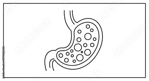 Stomach with gas bubbles, medical illustration, digestive system health concept