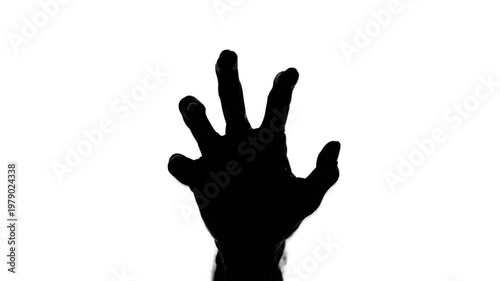 Silhouette Hand Gesture White Background.