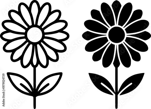 Chrysanthemum minimalist icon, outline and silhouette, for floral or plant design, isolated on transparent background