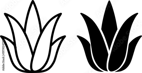 Aloe vera minimalist icon, outline and silhouette, for nature or plant design, isolated on transparent background