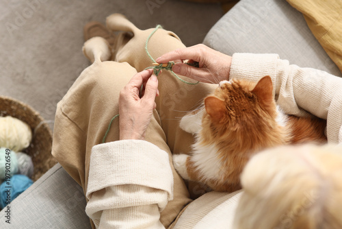 Senior woman with cute ging...
