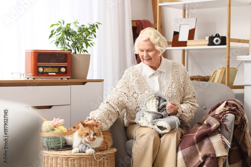 Senior woman with cute fluffy cat knitting sweater in armchair at home