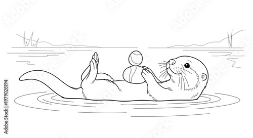 Cute otter floating on back in water, balancing ball on stomach, playful animal