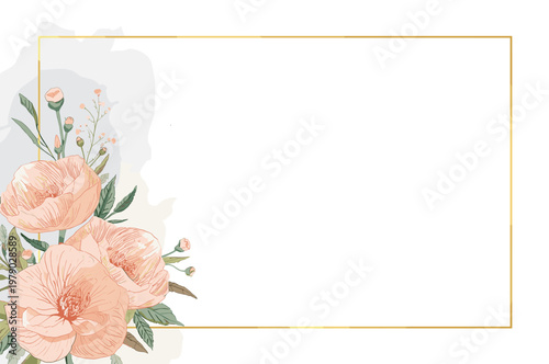 A close-up view of a single chrysanthemum flower in full bloom isolated on white background