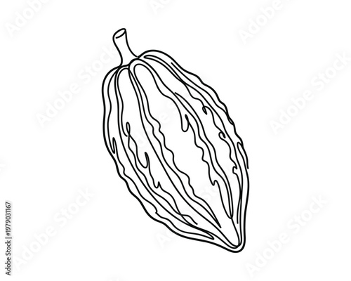 Cocoa pod fruit continuous line art drawing. black outline on transparent background.