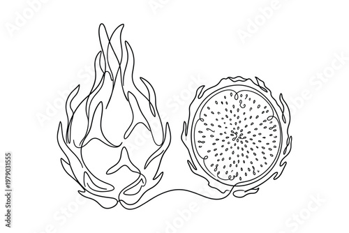 Dragon fruit cut in half and whole fruit illustration simple continuous line art vector.