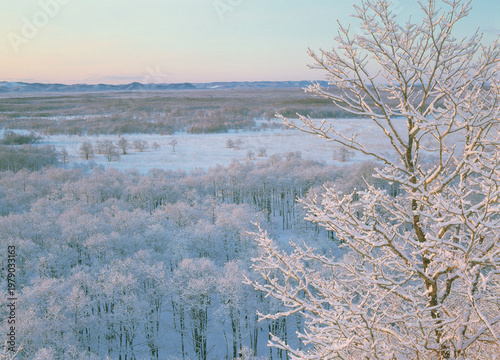 雪の釧路湿原（北海道・標茶町）
