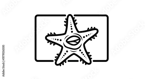Stylized Starfish Icon on a Rectangular Background
