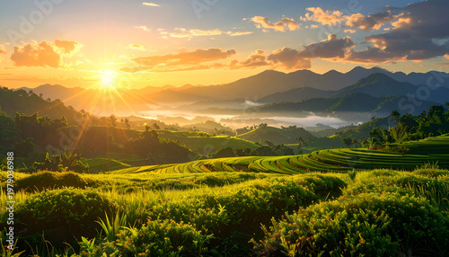 Golden sunlight illuminates lush, terraced rice paddies nestled amongst misty mountains at dawn.