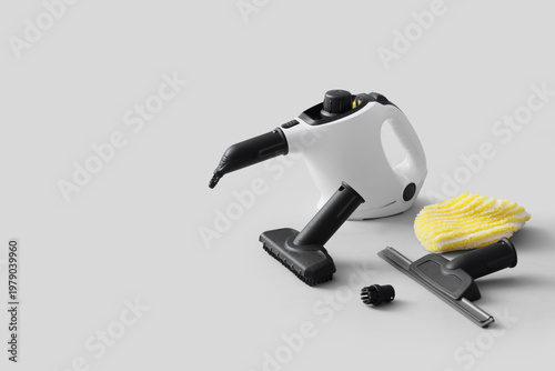 Modern steam cleaner with d...