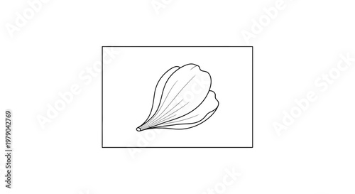 Delicate Flower Petal Outline Drawing