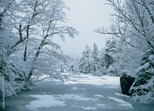 雪の知床五湖（北海道・知床）
