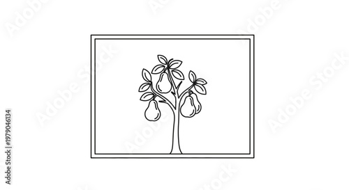 Pear Tree Illustration