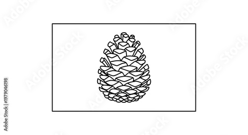 Pine Cone Illustration: Detailed Outline Drawing of a Natural Seed Pod on White Background