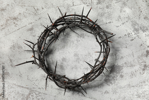Crown of thorns on grey gru...