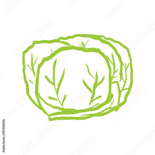 cabbage vegetable, hand drawn green crayon wax, doodle element, organic leafy green icon, rough texture sketch, healthy vegan