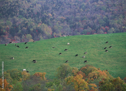 秋の牧場（北海道・上士幌町）
