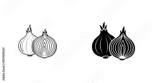 Black and white onion illustrations a culinary and botanical depiction of allium cepa