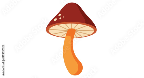 A single brown and orange mushroom illustration is shown against a white background.