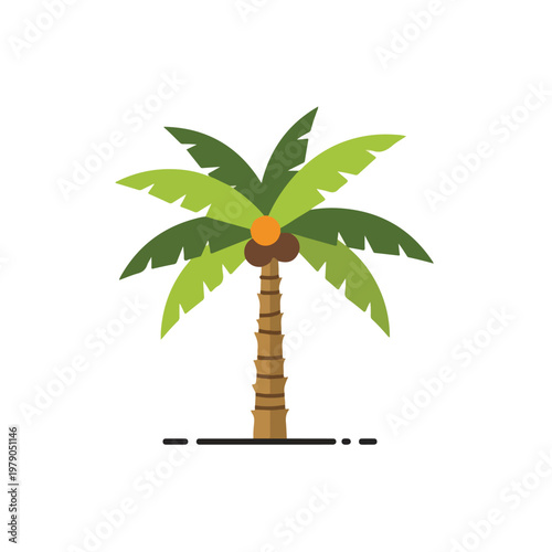 Flat vector of a tropical palm tree with coconuts and a dashed baseline