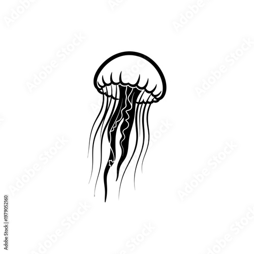 Black and White Stylized Jellyfish Illustration, Minimalist Ocean Life