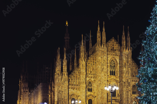 night shot of the Duomo with the Christmas tree in the foreground, Milan, Italy