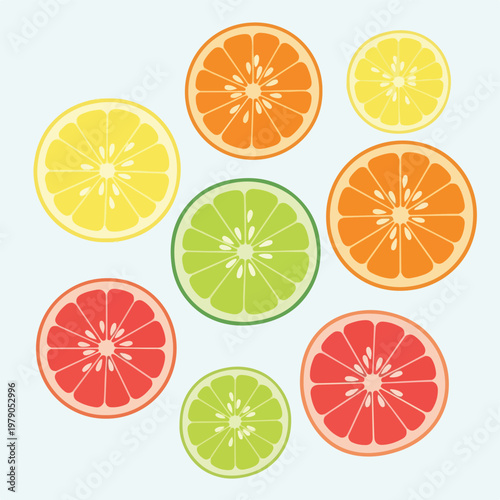Colorful slices of citrus fruit arranged on a soft, pale blue background
