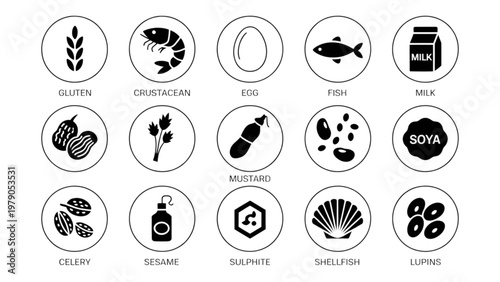 Collection of diverse icons representing various musical instruments and symbols Vector