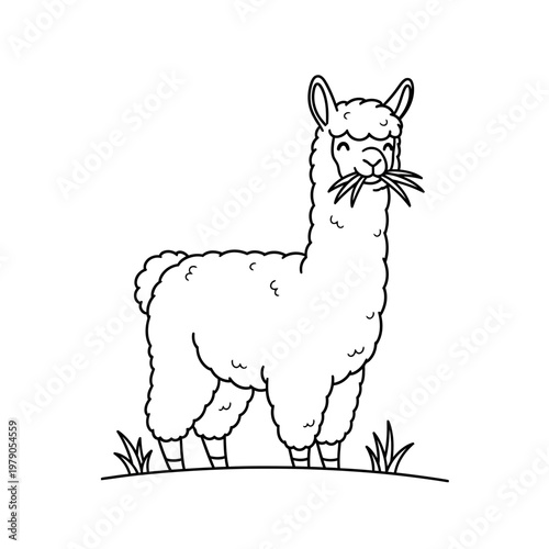 Cute cartoon llama eating grass, line art illustration, white background