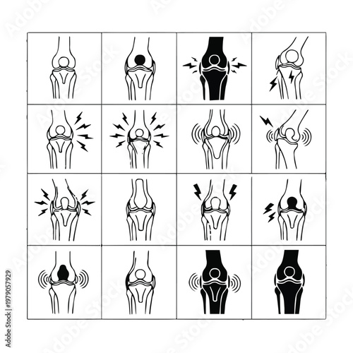 Collection of detailed anatomical illustrations of the human shoulder