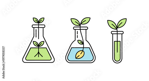 Green plants growing in laboratory equipment.