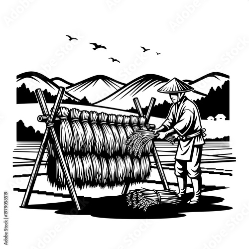 Traditional Asian farmer threshing rice in rural paddy field with conical hat
