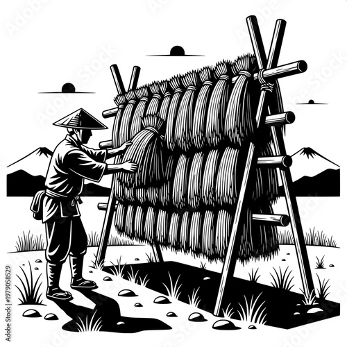 Farmer drying traditional thatched rice in rural countryside with conical hat