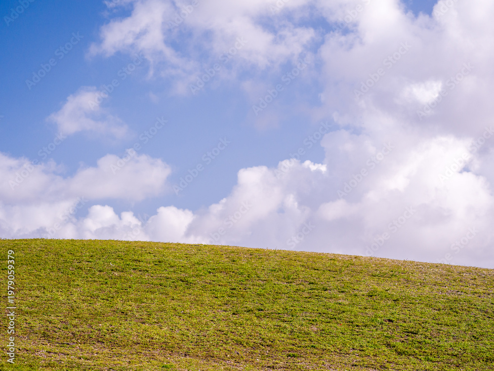 Fototapeta premium Empty green grassy hill slope under a vast blue sky filled with white clouds on a bright summer day.
