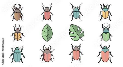 Colorful beetles and green leaves insects.