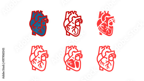 Medical heart illustrations showing anatomy and health variations in line style.